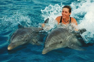 Waikoloa Beach House Rentals, Swim with Dolphins