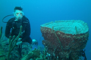 Saba Tyler Tidwell Scuba Diving